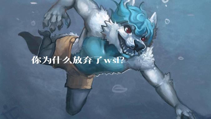 你为什么放弃了wsl？